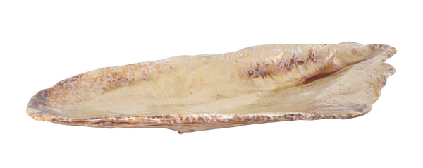 Purasangre Momi Tray Mussel Tray Momi 20.47x9.25x2.17 in - P1505030