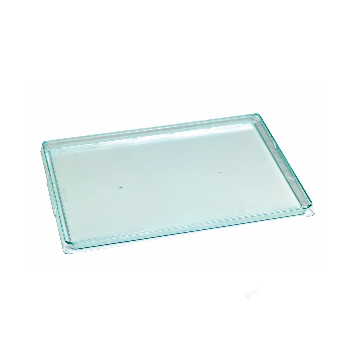 Packnwood Klarity Rectangular Transparent Green Tray L:15in W:10.7in H:0.67in - iFoodservice Online