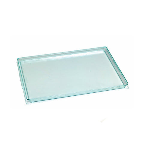 Packnwood Klarity Rectangular Transparent Green Tray L:15in W:10.7in H:0.67in - iFoodservice Online