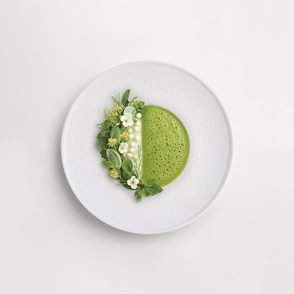 Purasangre Cantabro Round Plate Risotto 9.45x2.17 in - P965021 - iFoodservice Online