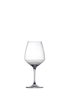 Zafferano Esperienze Pinot Noir & Amarone (Set of 2) - iFoodservice Online