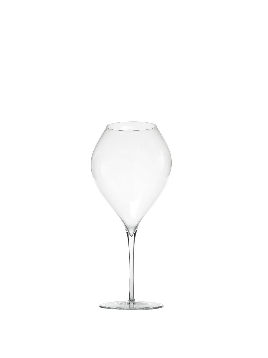 Zafferano Ultralight Young Red Wines (Set of 2) - iFoodservice Online