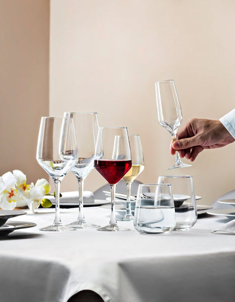 Hospitality Brands Mencia Tall Wine Glass 15.5 oz. (Pack of 6) HGV0264 - 006 - iFoodservice Online